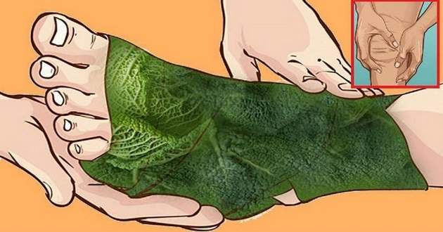 1537384745_nogakap