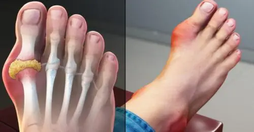 16688052178779830514